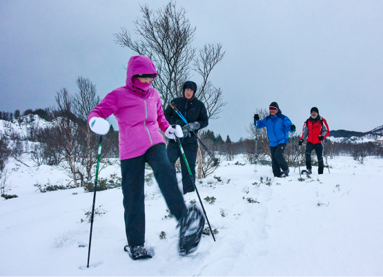 Snowshoe Vesterålen Apartment